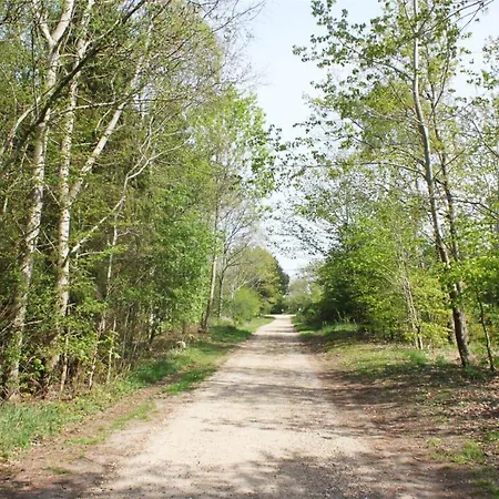 Ferienhaus Lf21632-spottrup-rylevej-1